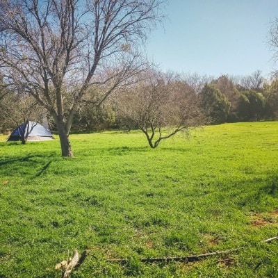 Gallery image at Camp Avalon Spiritual Nature Retreat