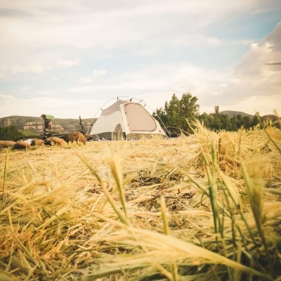 Gallery image at Camp Avalon Spiritual Nature Retreat