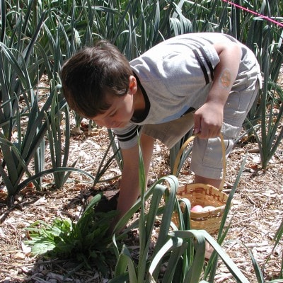 Gallery image at Camp Avalon Spiritual Nature Retreat