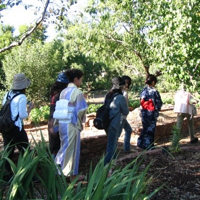 Gallery image at Camp Avalon Spiritual Nature Retreat