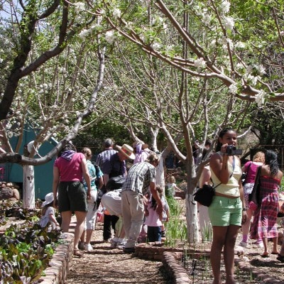 Gallery image at Camp Avalon Spiritual Nature Retreat