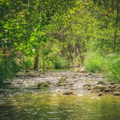 Gallery image at Camp Avalon Spiritual Nature Retreat
